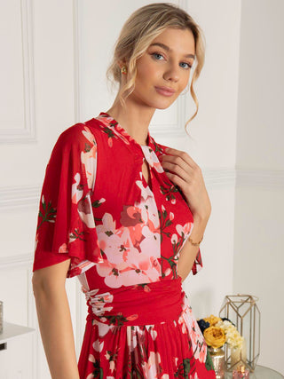 Danika Keyhole Neck Mesh Dress, Red Floral