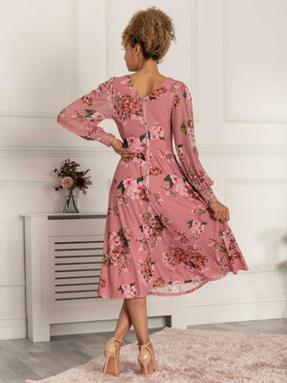 Phoebe Long Sleeve Mesh Dress, Pink