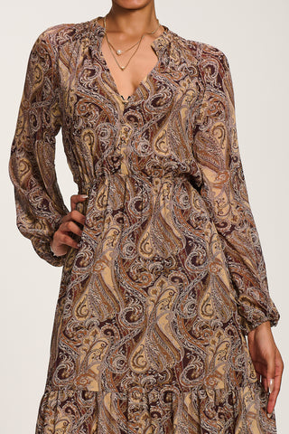 Long Sleeve Paisley Chiffon Maxi Dress, Brown Multi