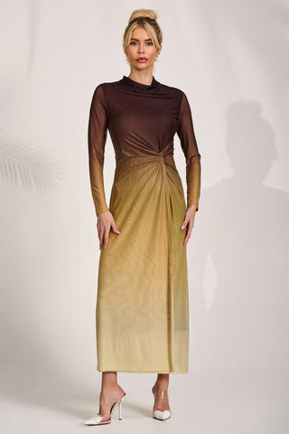 Petite Long Sleeve Mesh Maxi Dress, Brown Multi